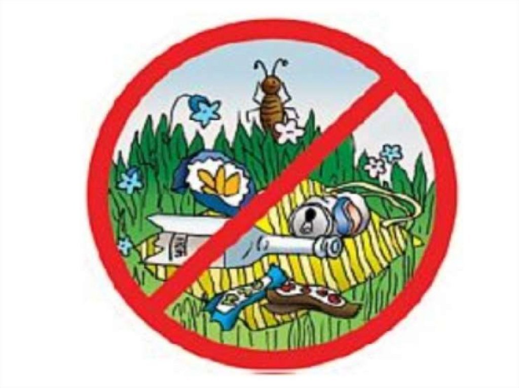 Экологические знаки для детей дошкольного возраста. Экологический знак не мусорить в лесу. Знак не мусорить в лесу знак. Знаки защиты природы. Экологические знаки для детей.