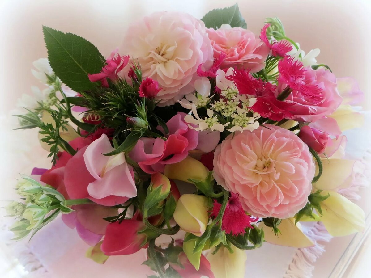 Поздравление с днем рождения женщине картинки цветы. Красивый букет. Букет шикарный. Букет "день рождения". Шикарные цветы.