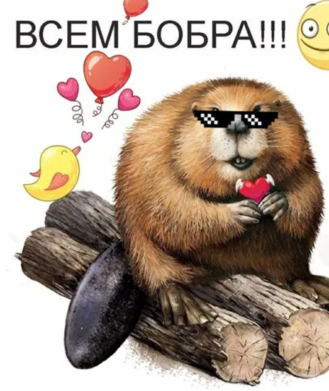 Бобер картинки прикольные