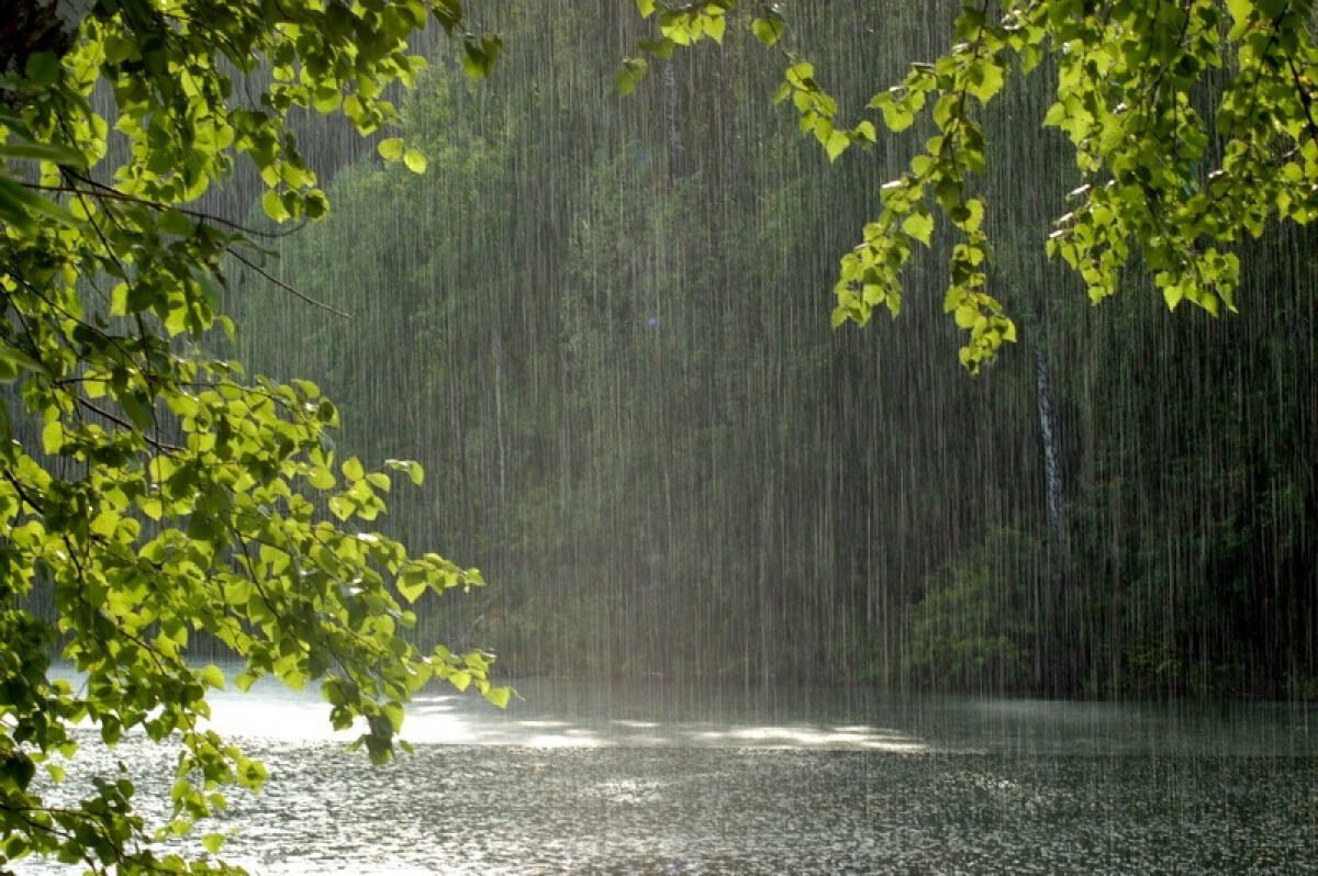 Спорый дождь. Дождь. Природа дождь. Ливень. Ливневые дожди.
