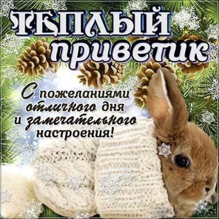 Зимний привет