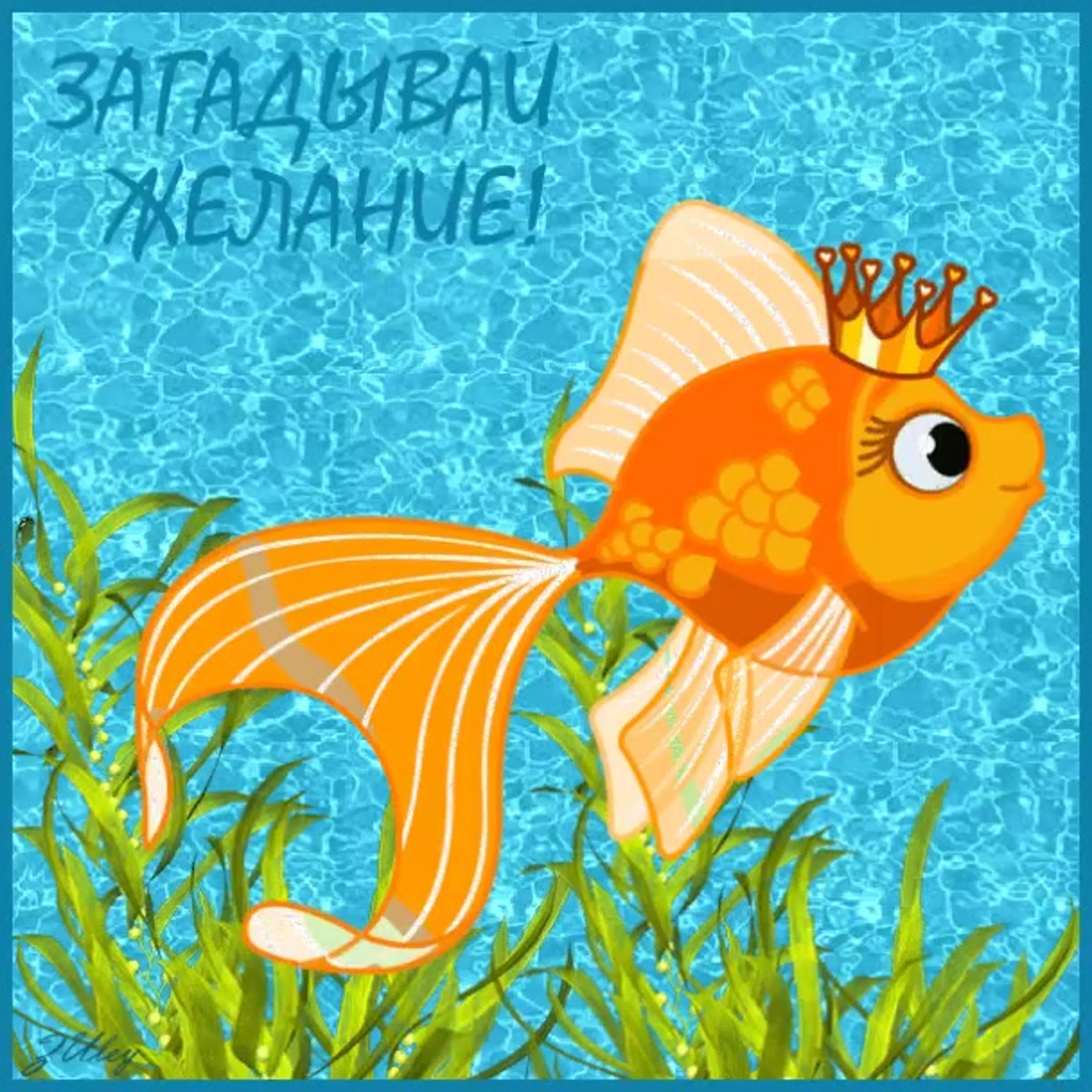 Желаю чтобы все твои желания сбылись. С днём рождения Золотая рыбка. Золотая рыбка исполнение желаний. Открытка с золотой рыбкой. Золотая рыбка исполняет желания.