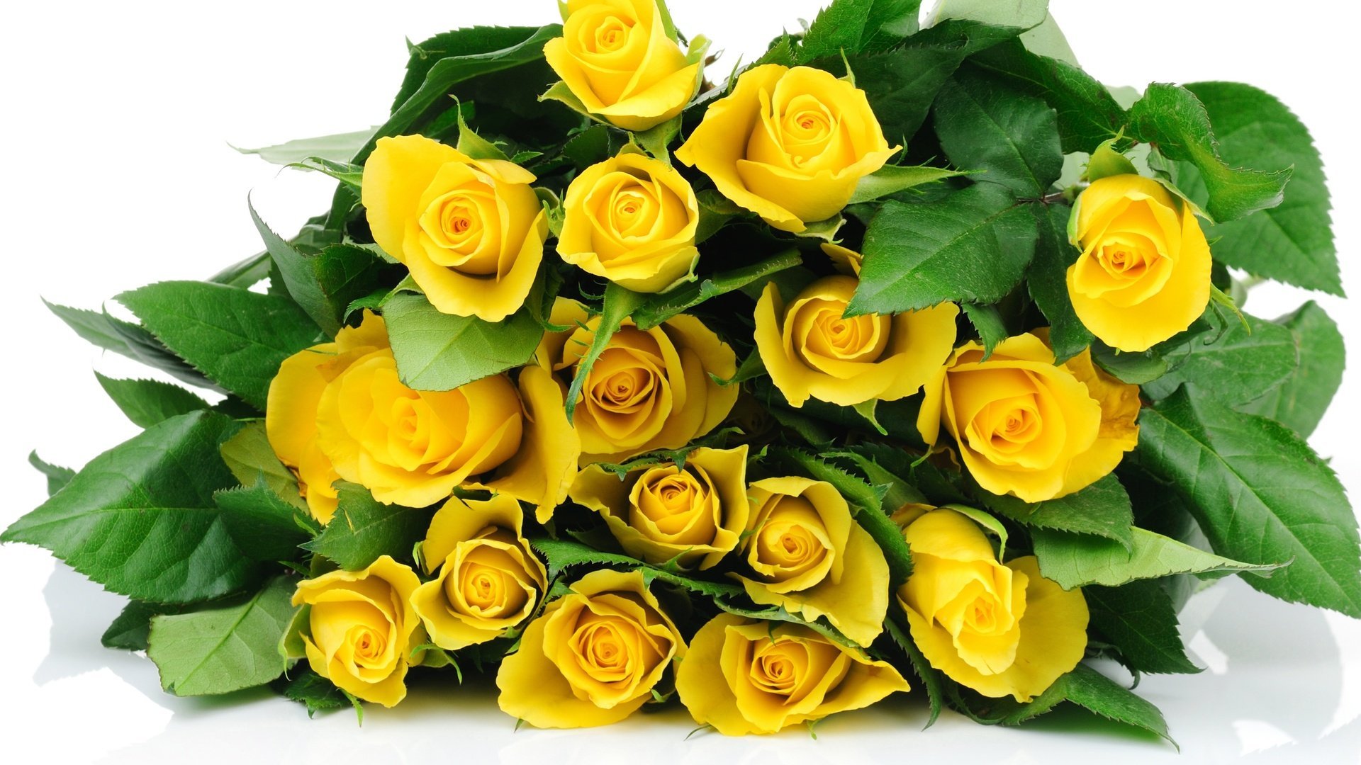Букетик желтых роз. Розочка желтая с. Желтые розочки