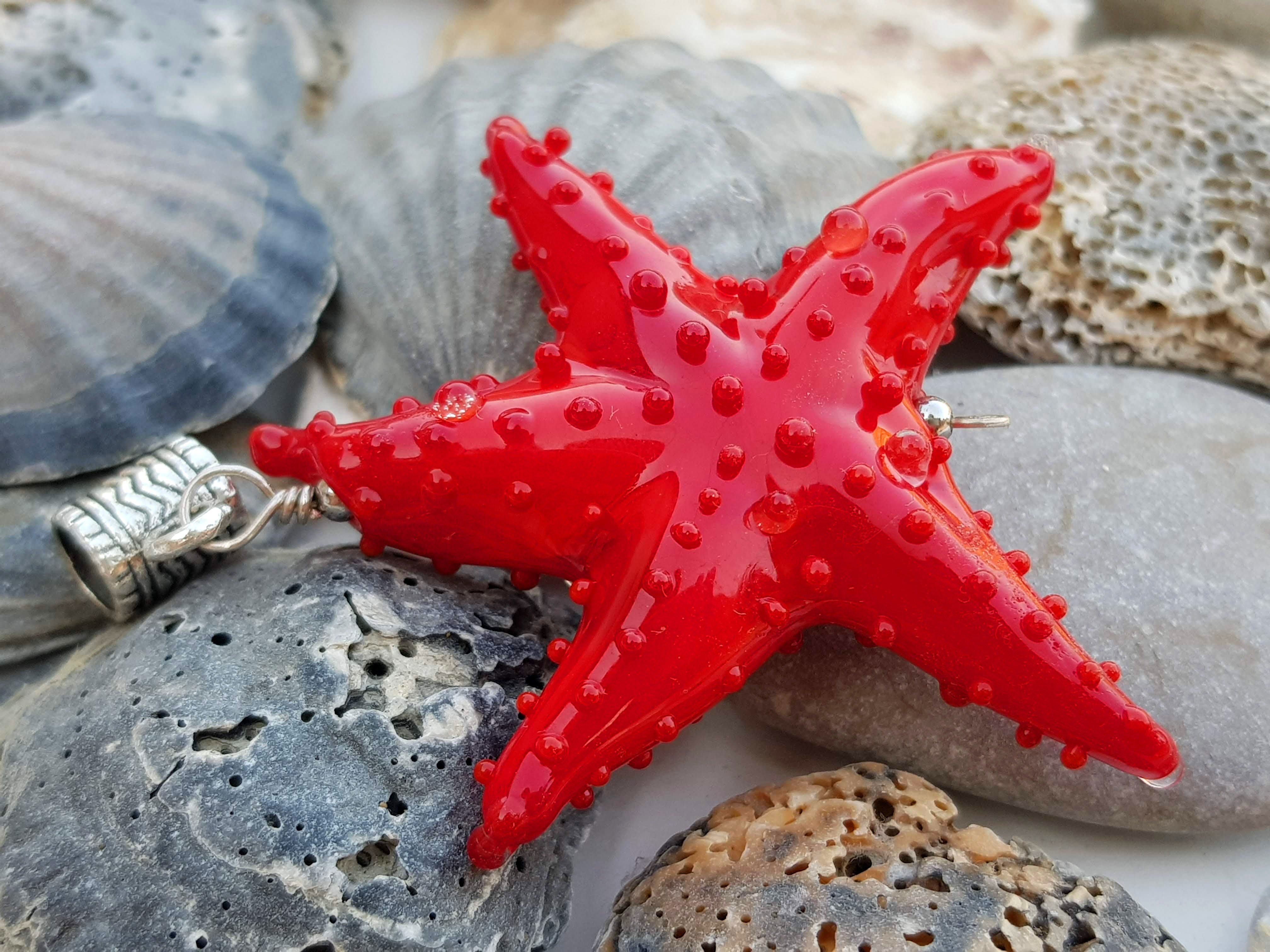 Морская звезда 6. Красный Астериас. Пятиконечная морская звезда. Солястер морская звезда. Морская звезда красивая.
