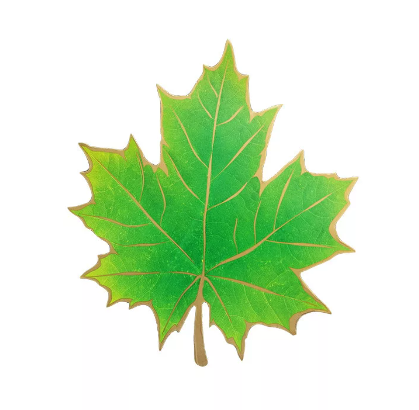 Клен картинки листьев. Кленовый лист. Кленовые листочки. Листья клена для детей. Кленовый лист зеленый.