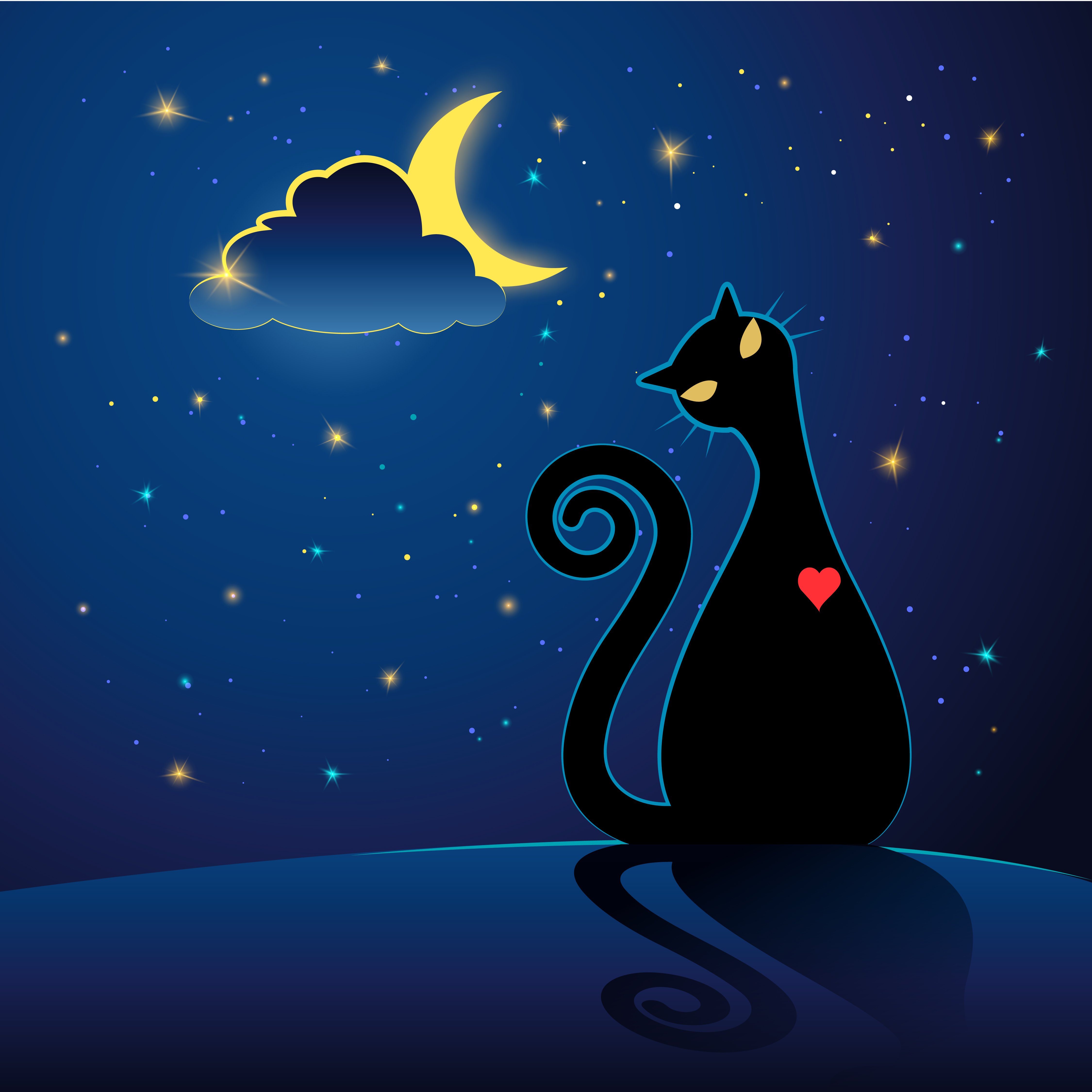 Спокойной ночи кошки