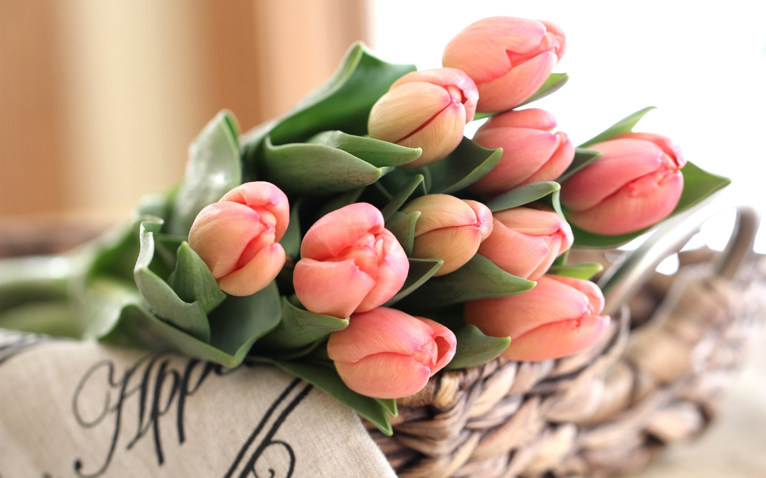 Тюльпаны стильные картинки. Нежные тюльпаны. Букет тюльпанов. Красивый весенний букет.