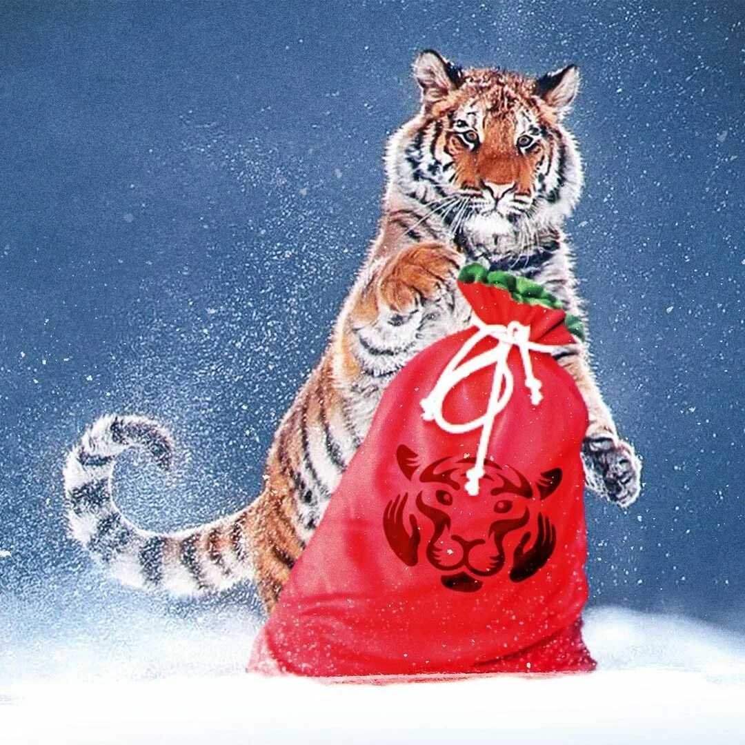 Новым годом тигра
