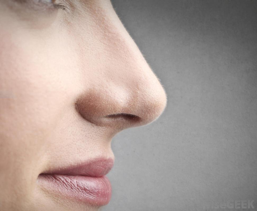 Покажи картинки носа. Нос. Нос фото. Изображение носа.