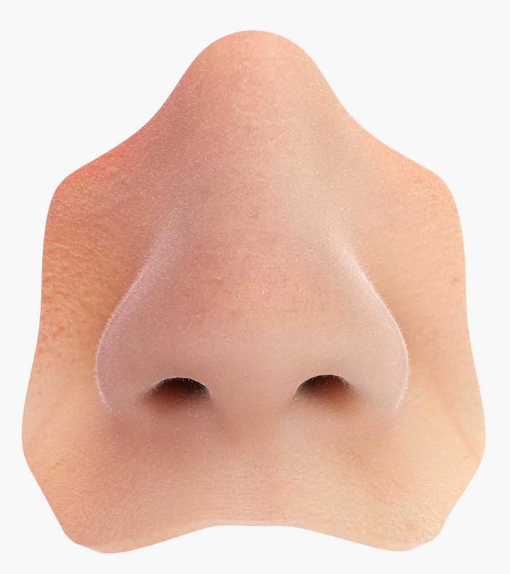 Идея носа. Нос. Человеческий нос. Накладной нос.