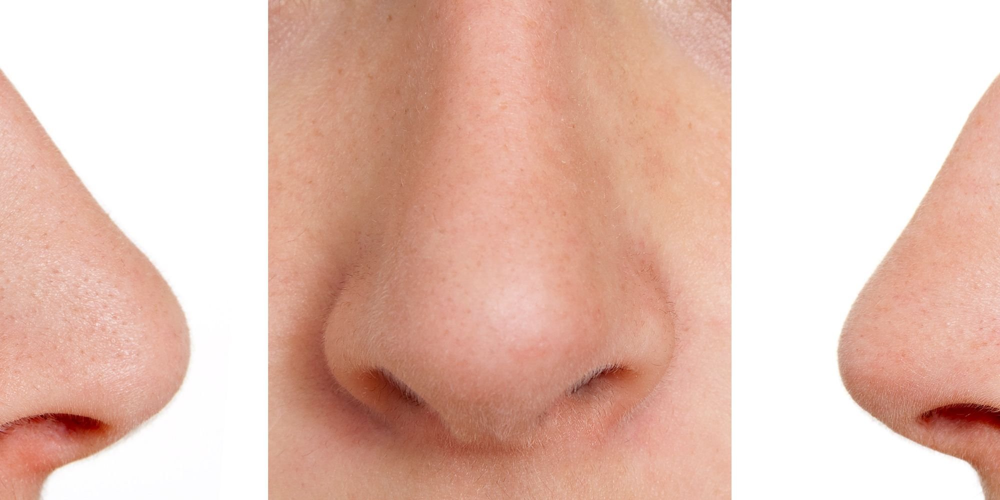 Покажи картинки носа. Нос. Человеческий нос. Нос картинка.