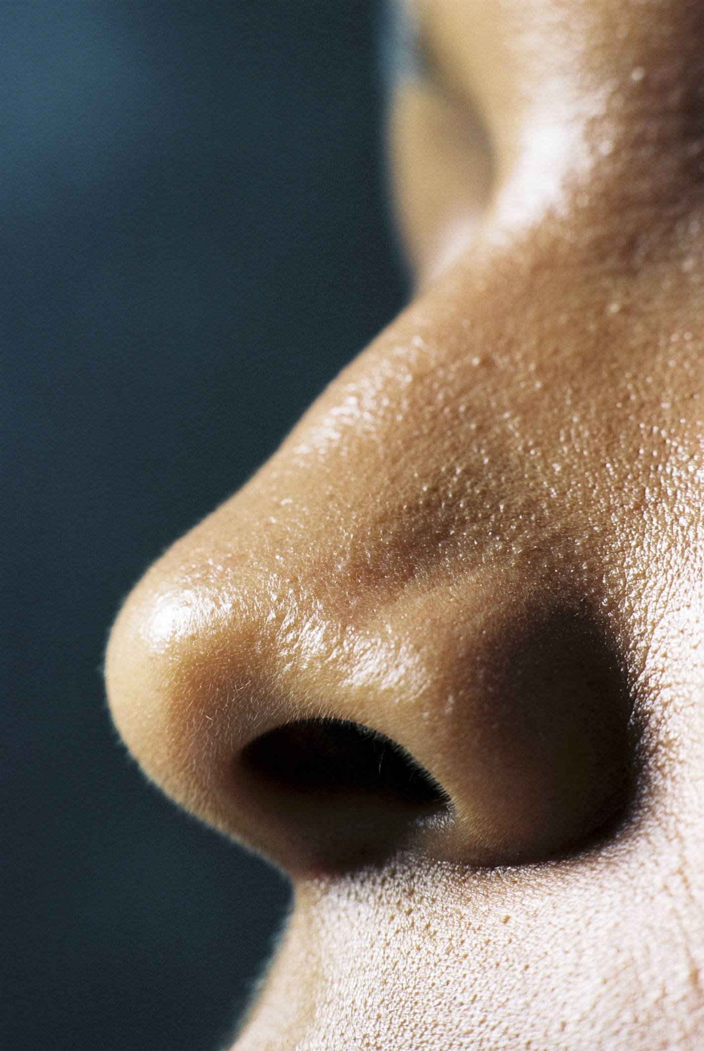 Покажи картинки носа. Нос. Человеческий нос.