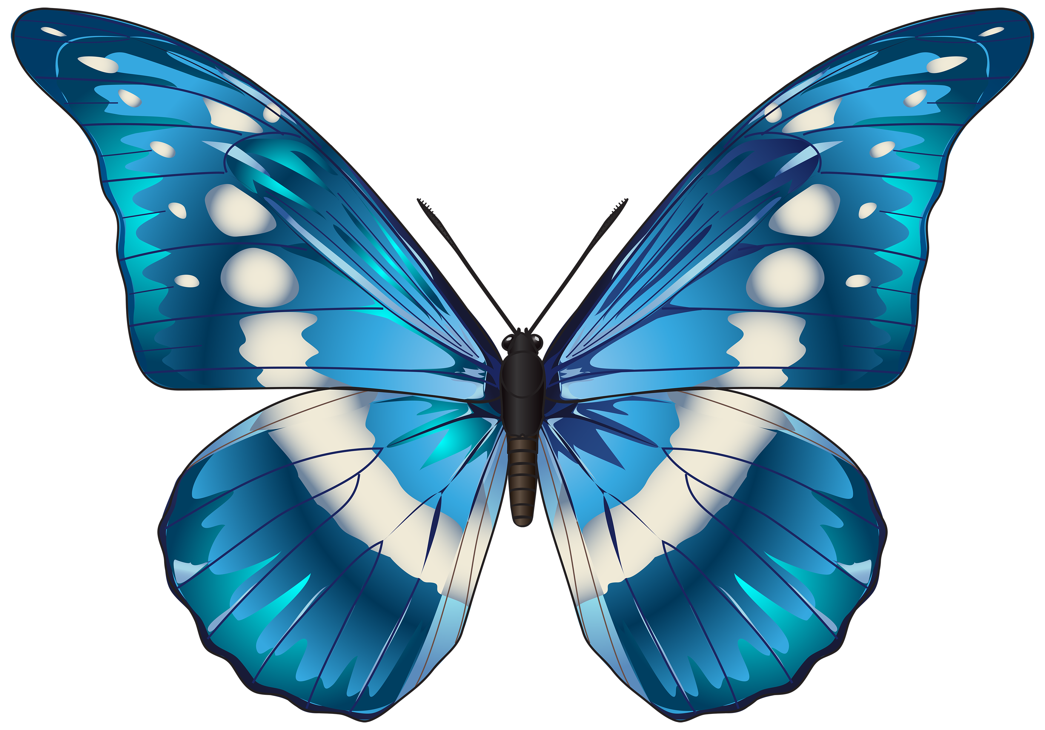 Бабачкина прозрачном фоне. Голубая бабочка. Бабочки на просроченном фоне. Голубая бабочка на прозрачном фоне.