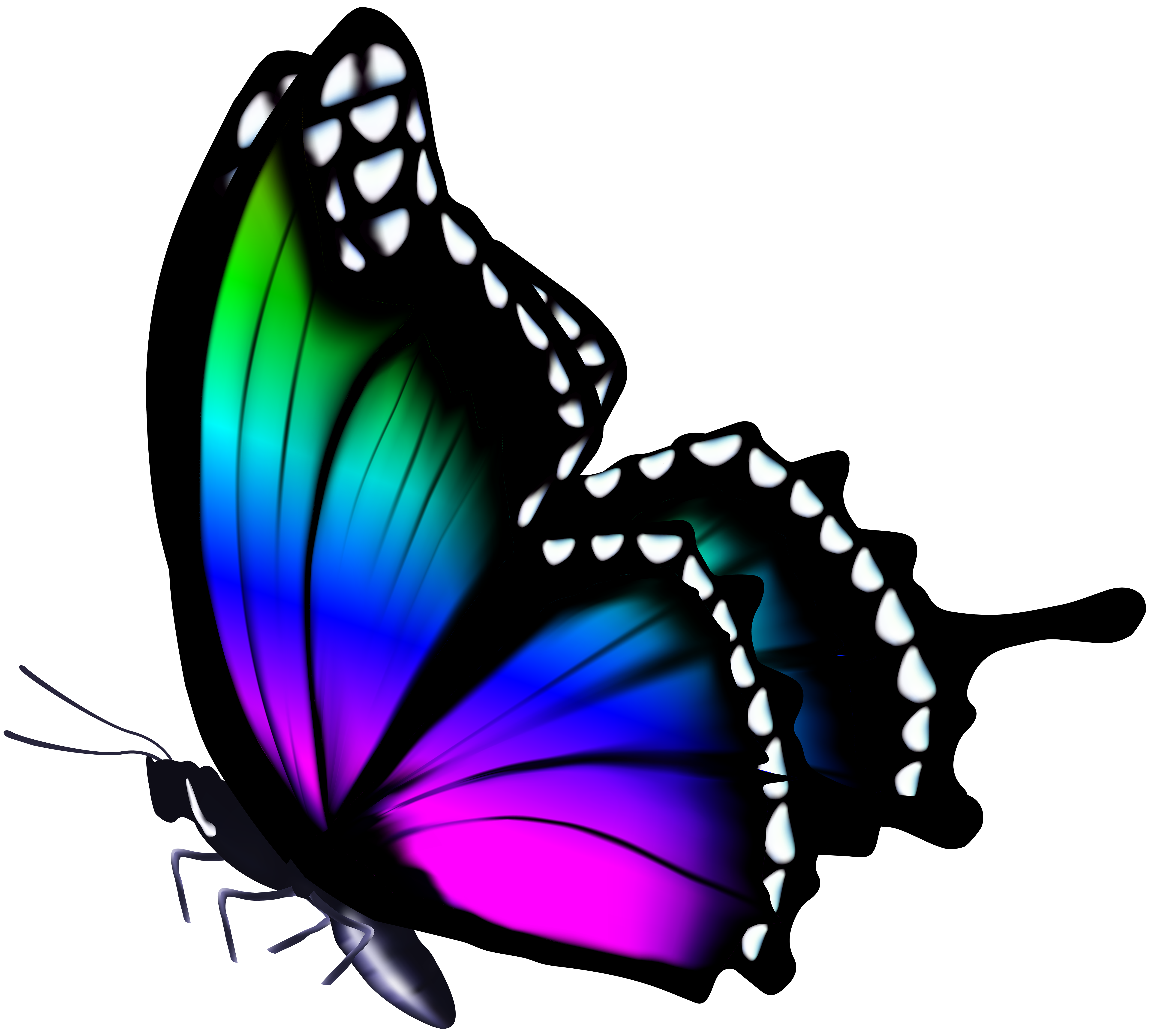 Разноцветные бабочки. Бабочки на просроченном фоне. Бабочки для фотошопа. Бабочки клипарт.