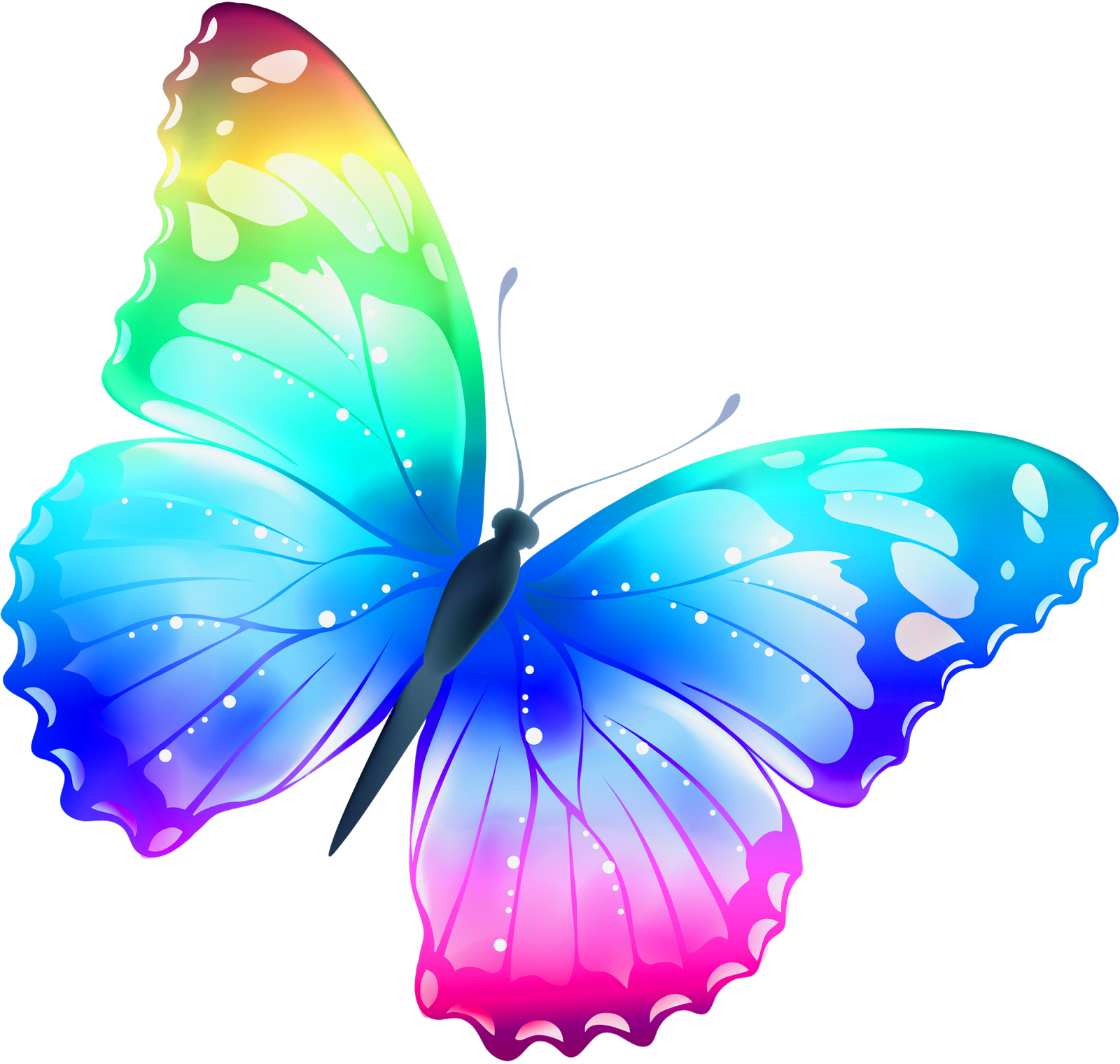 Png pics. Разноцветные бабочки. Бабочки цветные. Бабочки на белом фоне. Бабочка рисунок.
