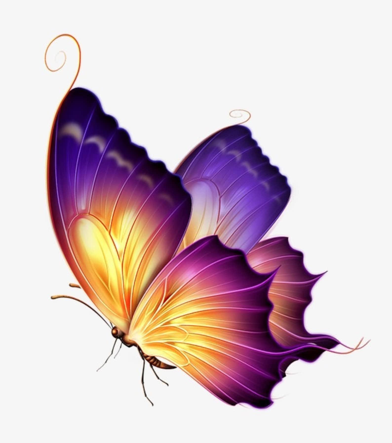 Картинки на прозрачном фоне. Бабочка фиолетовая. Бабочки на просроченном фоне. Бабачкина прозрачном фоне. Сказочные бабочки на прозрачном фоне.