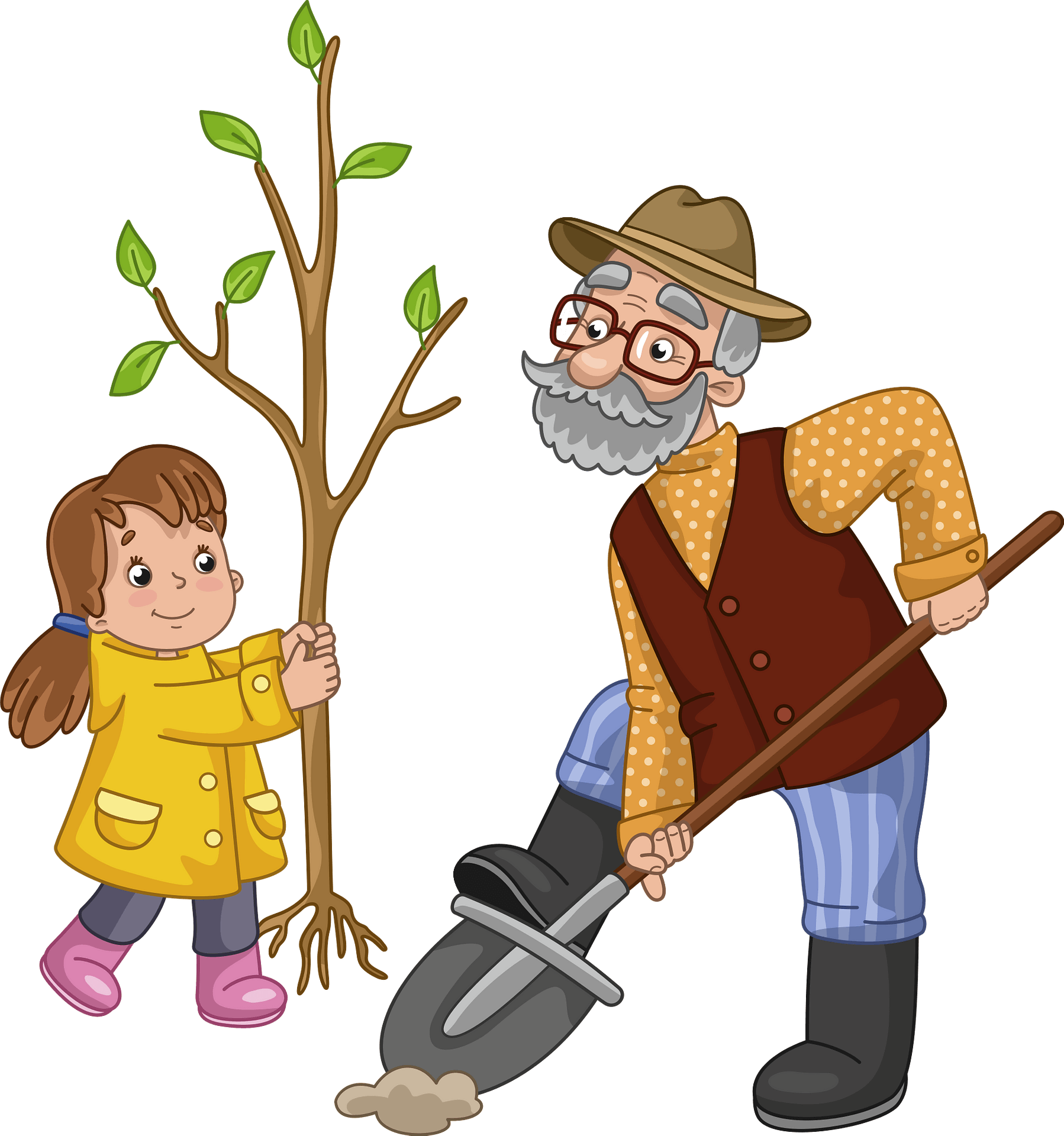 Детям о дедушке. Дедушка иллюстрация. Дедушка рисунок. Дедушка мультяшный. Дедушка посадил дерево 54