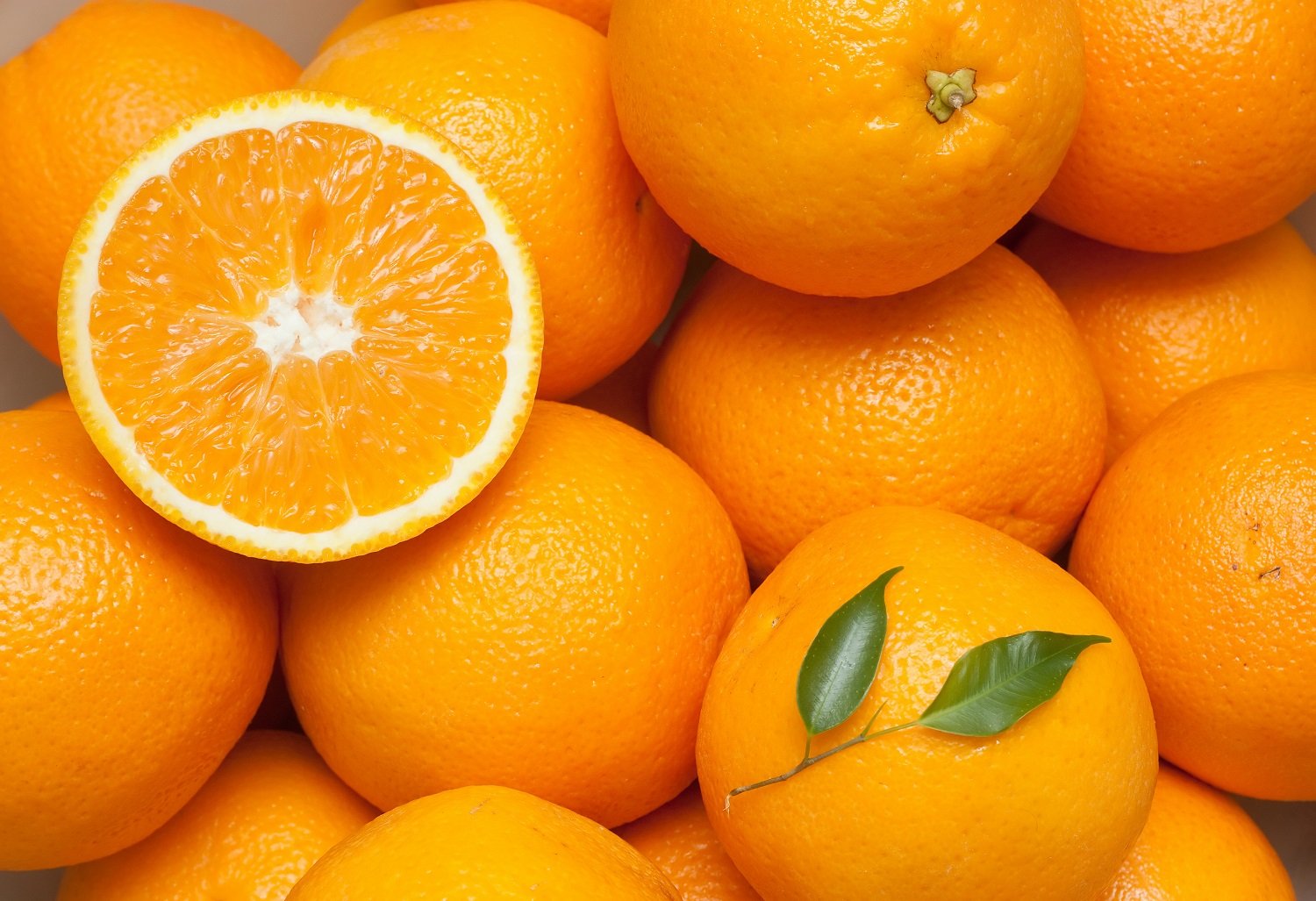 У отца есть 5 различных апельсинов. Померанец оранж. Померанец апельсин. Апельсин Fresh Citrus. Сочный апельсин.