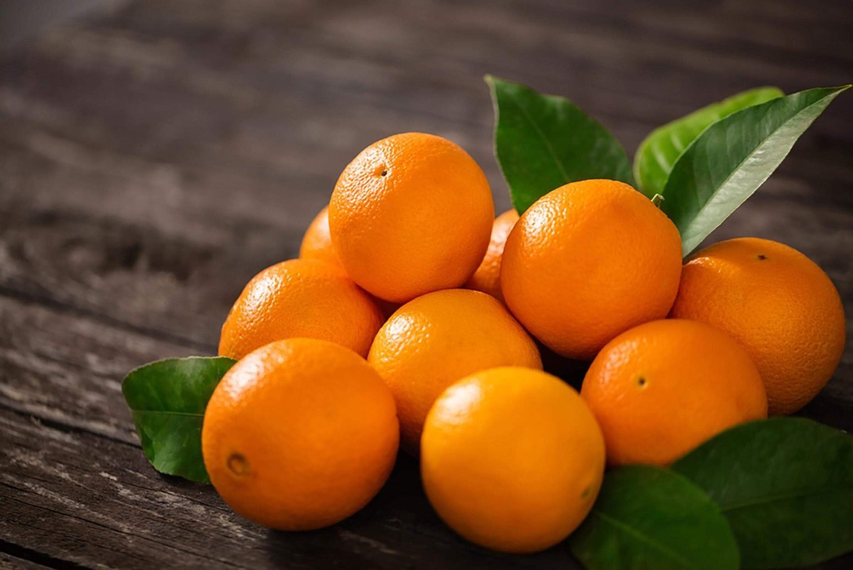 Апельсин википедия. Померанец цвета оранж. Рутовые, апельсин. Апельсин navel. Апельсин Валенсия.