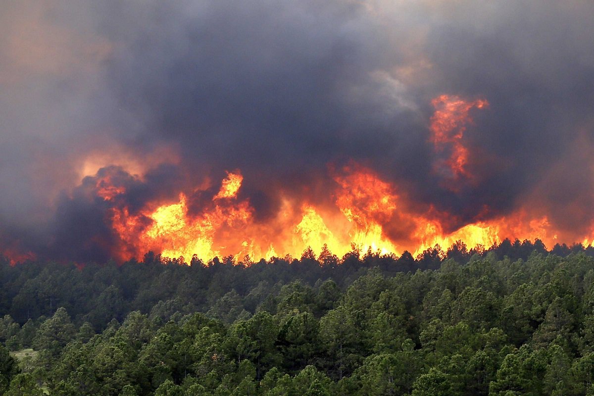 Верховой беглый Лесной пожар. Природные пожары. Лесной пожар от молнии. Пожары в Турции. Расширенные пожары
