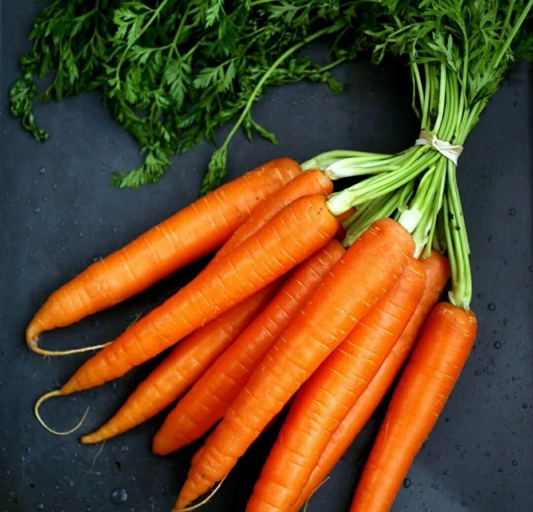 Марковь или морковь. Морковь. Моркко. Красивая морковь. Красивая морковка.