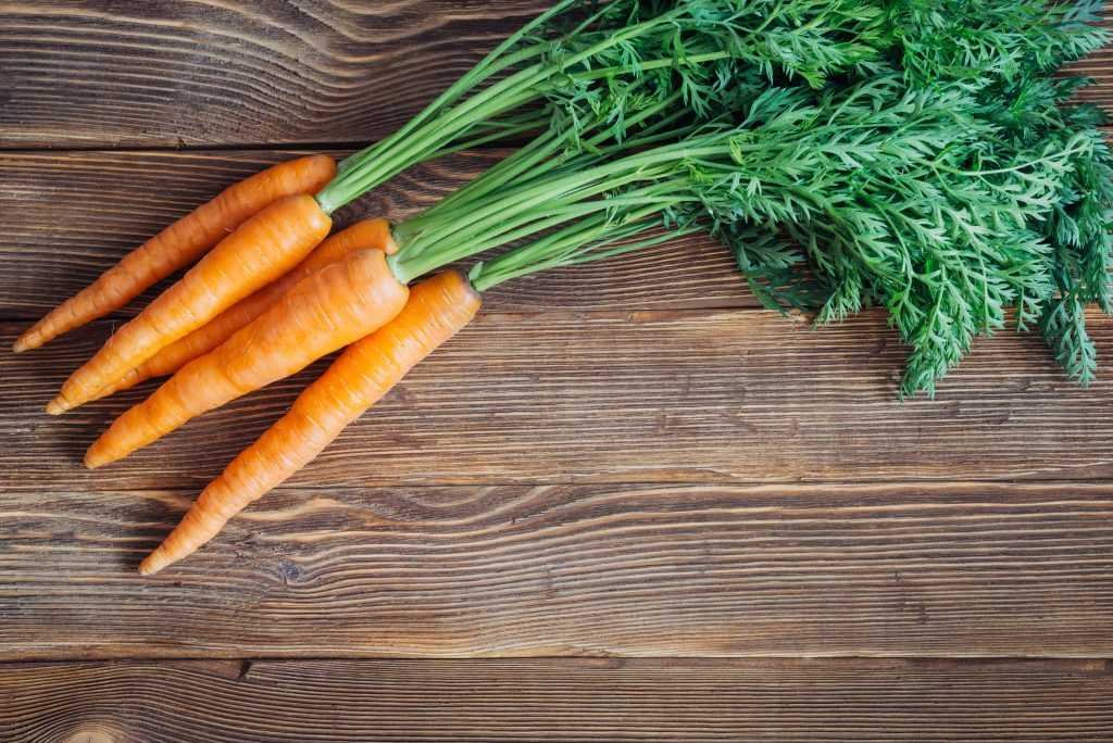 Марковь или морковь. Ботва. Моркови. Ботва. Юкон морковь. Красивая морковь. Морковь с ботвой.
