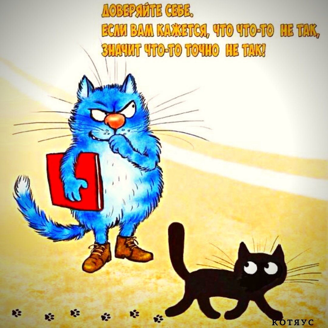 Смешные открытки с котом. Коты Ирины Зенюк. Синий кот. Синие коты. Кот и синица.