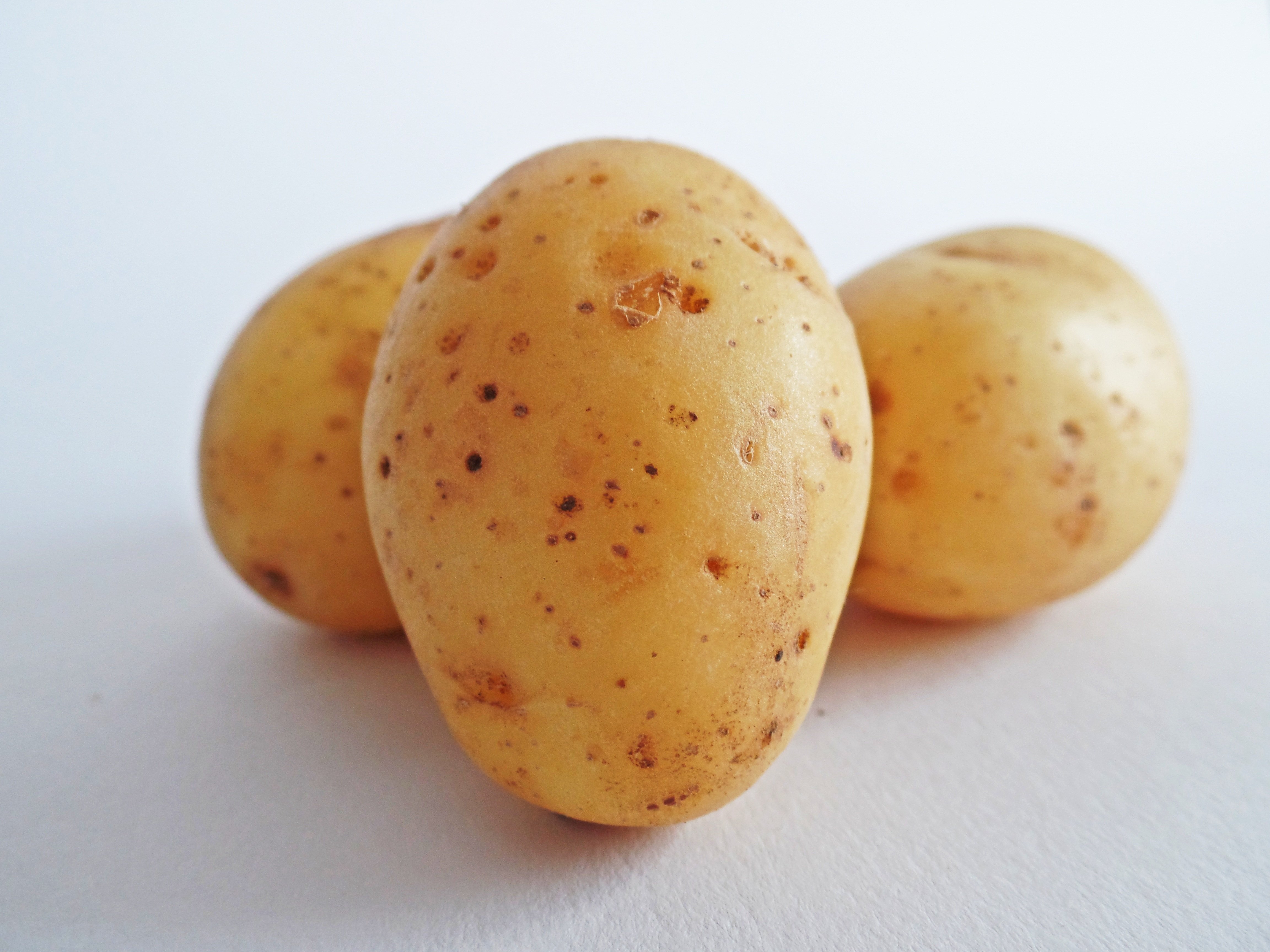 фото про картошку