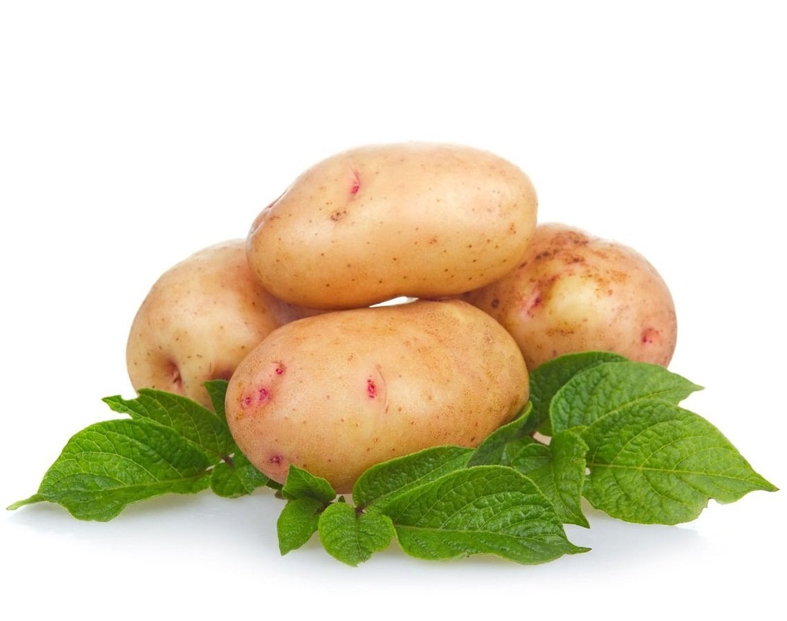 красивое фото картофеля