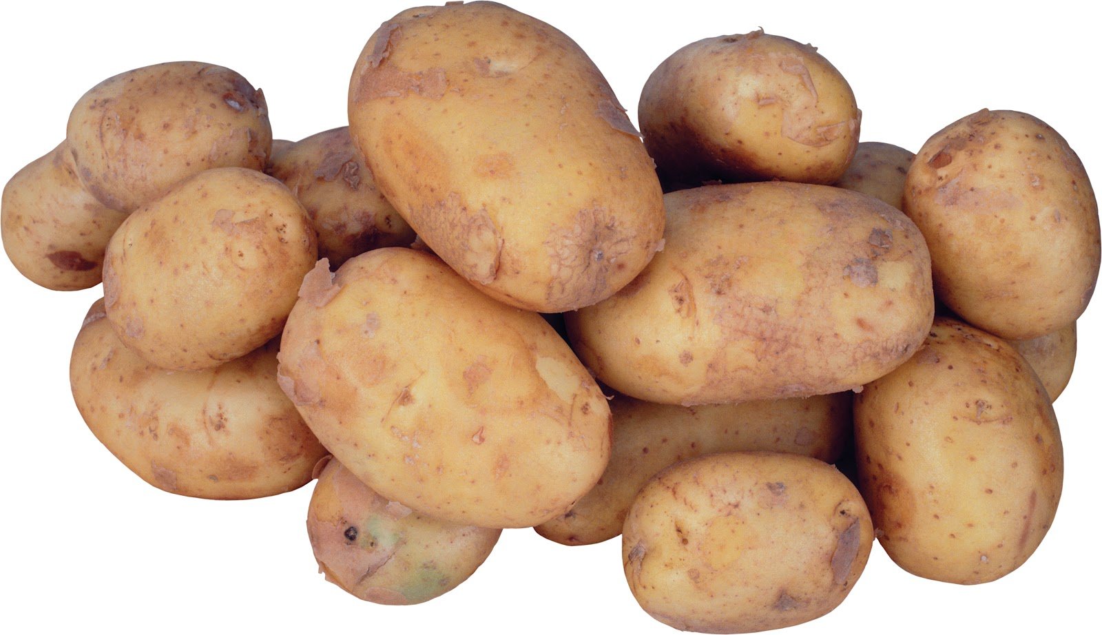 Potatoes picture. Картофель. Картофель на белом фоне. Картофель без фона. Картофель для детей.