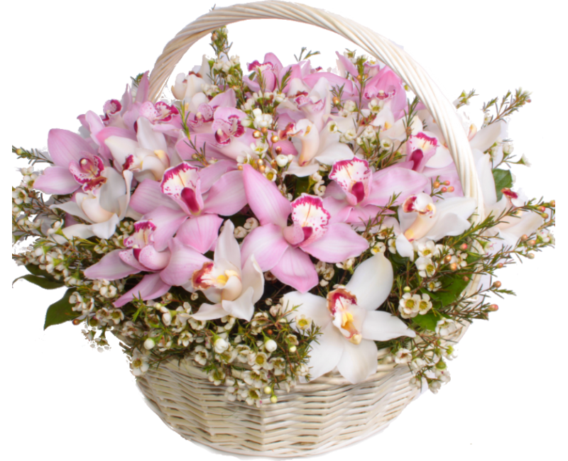 Красивый букет. Открытка "букет". Букет цветов с пожеланиями. Букет орхидей с днем рождения.
