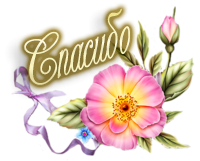 Спасибо Светик