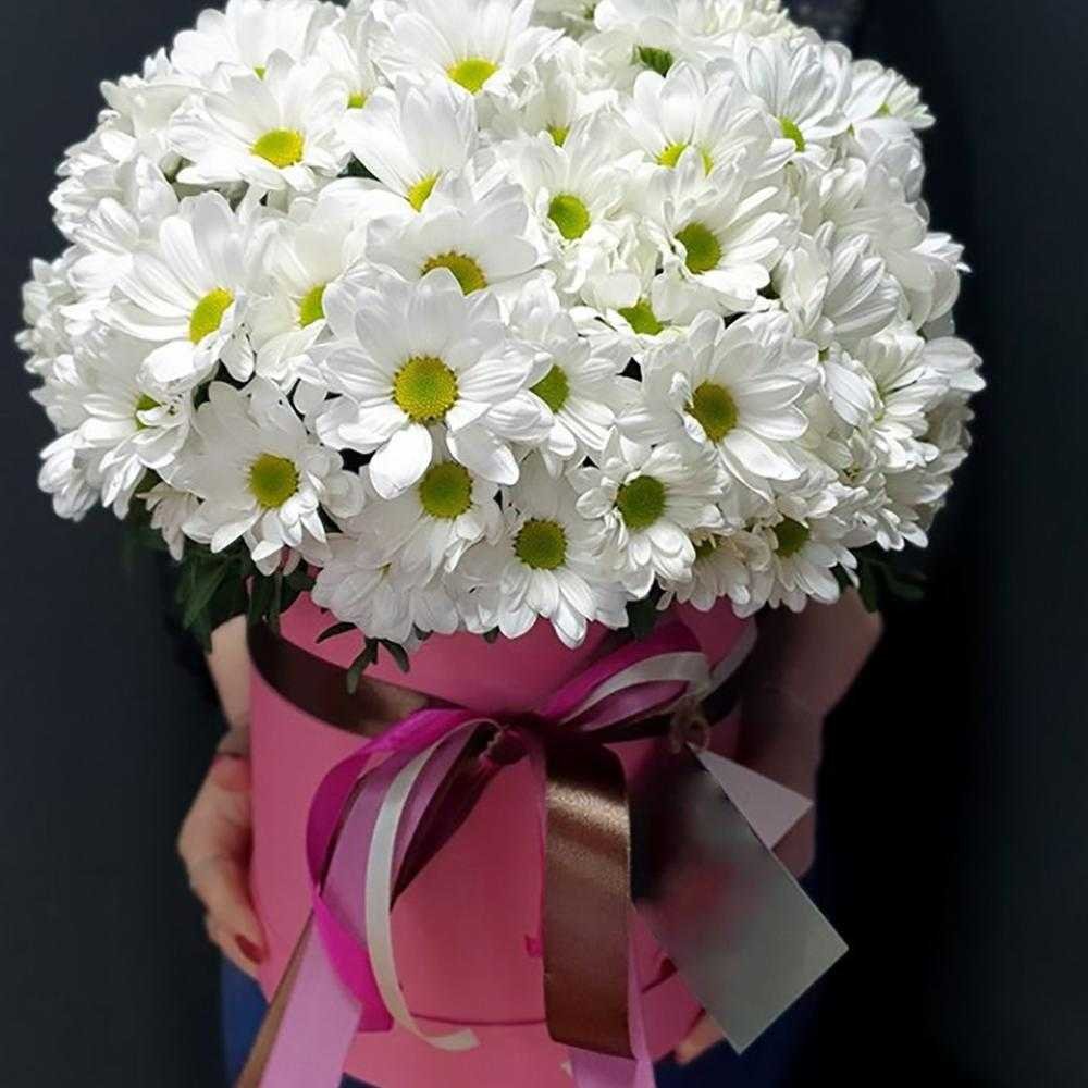 Открытка с днем рождения с хризантемами. Хризантема Букетная. Цветы хризантемы белые букет. Шикарный букет хризантем. Красивый букет из хризантем.