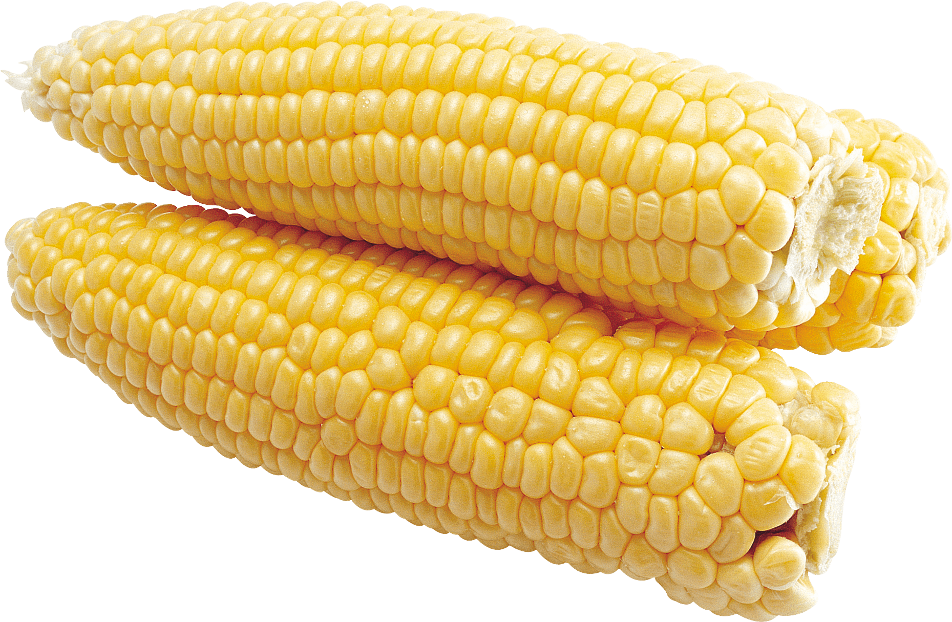 Corn кукуруза. Кукуруза початок. Початок кукурузы на прозрачном фоне. Кукуруза это овощ. Кукуруза на белом фоне.