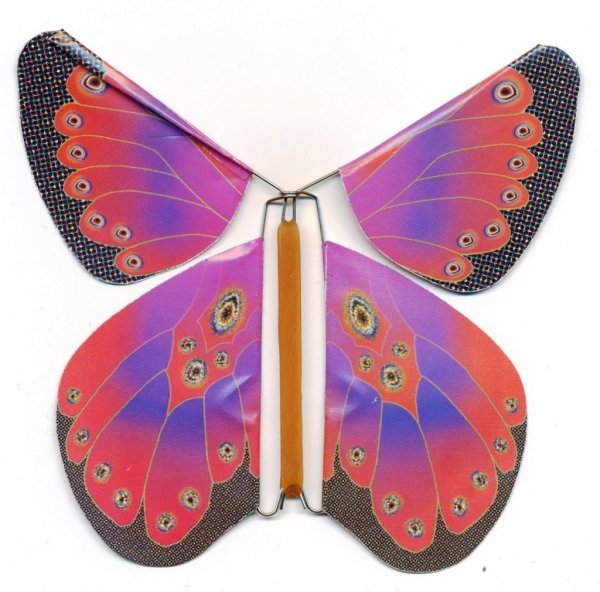 Летающая бабочка из бумаги. Бумажные бабочки летающие. Летающая бабочка в открытку. Механические бабочки летающие.