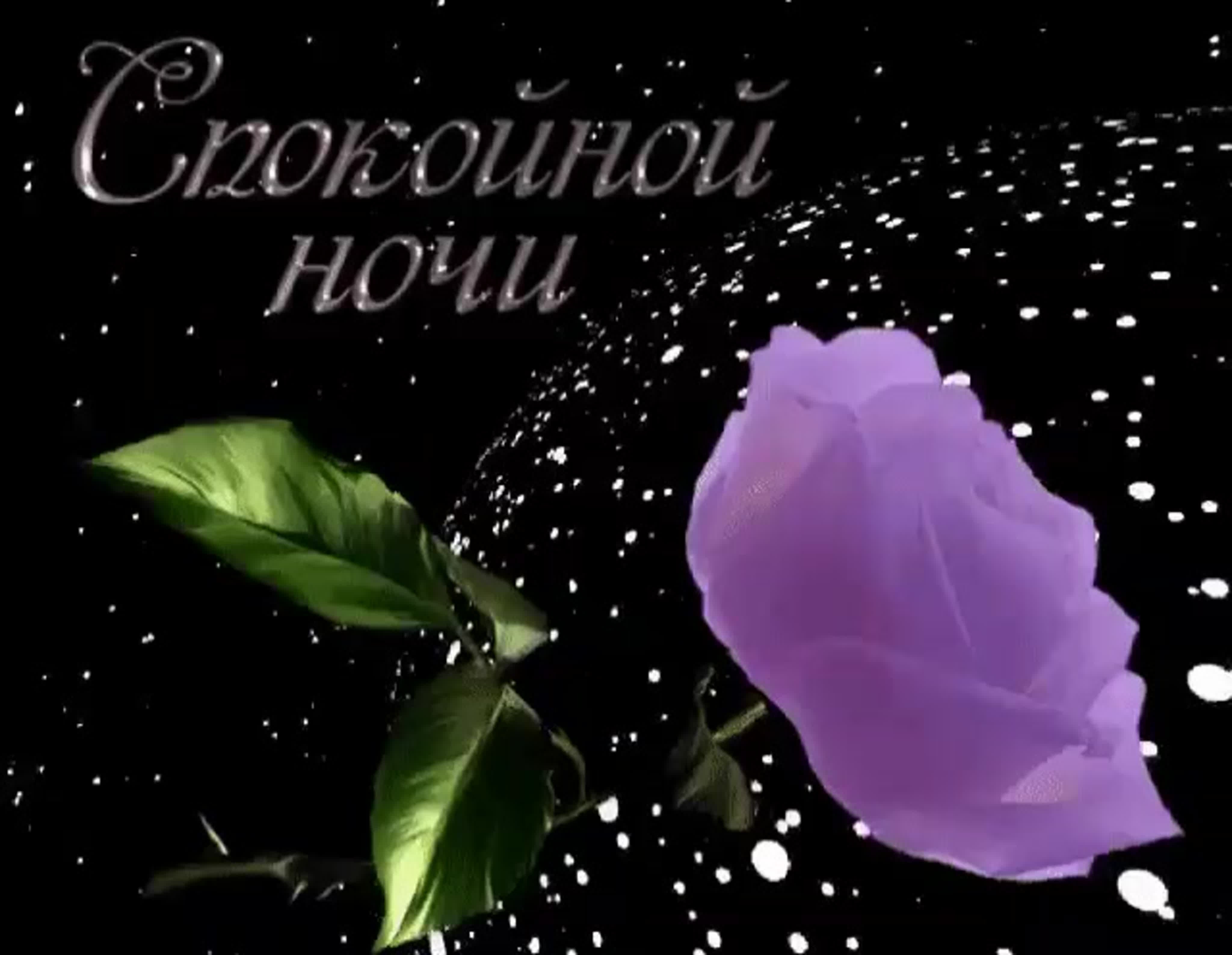 спокойной ночи картинки красивые цветы розы