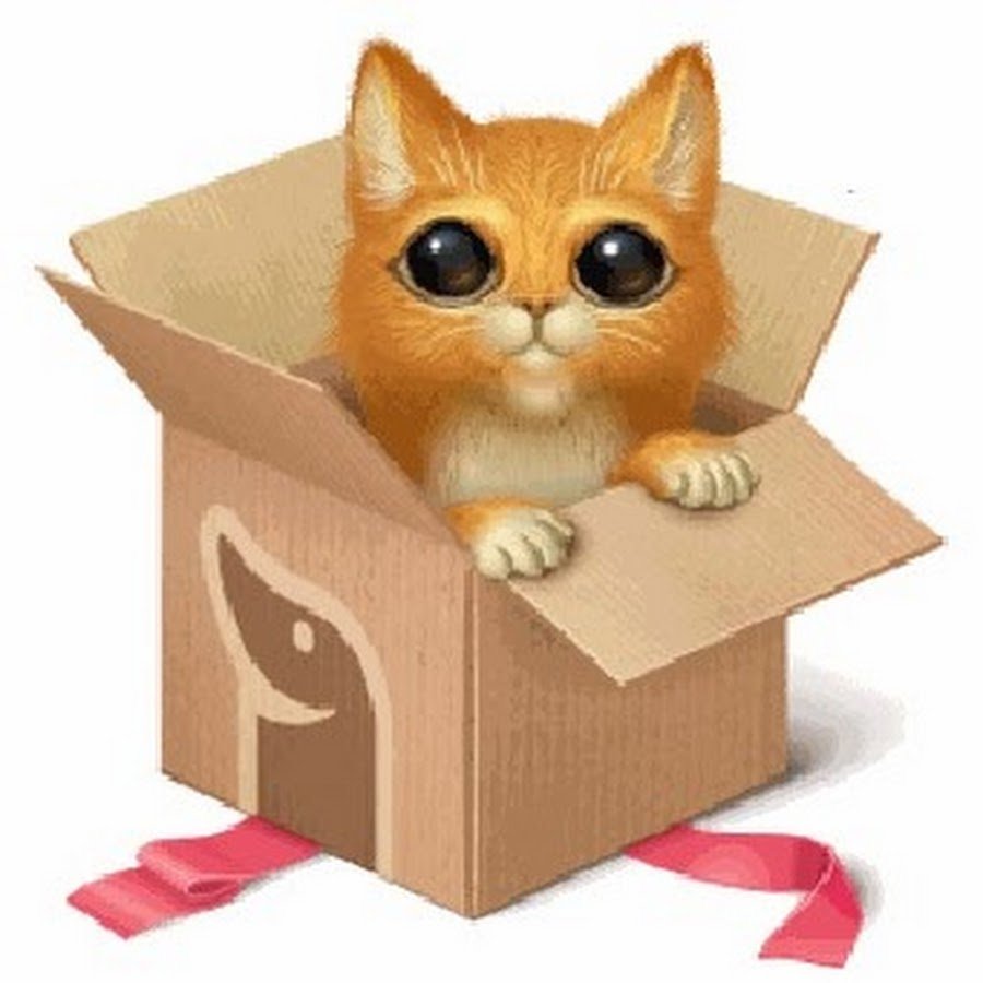 Сюрприз рыжий. Котик в коробке. Кот с подарком. Котенок в коробочке. Коробка с изображением кошки.