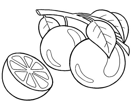 Апельсин раскраска для детей