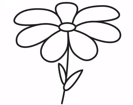 Цветок шаблон для детей