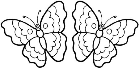 Бабочка раскраска для детей