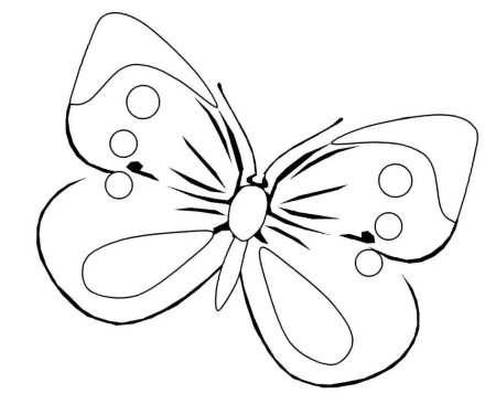 Бабочка раскраска маленькая