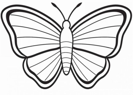 Контур бабочки для раскрашивания
