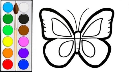 Бабочка раскраска для детей