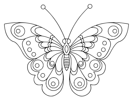 Раскраска "бабочки"