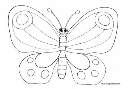 Бабочка раскраска для детей 4-5 лет