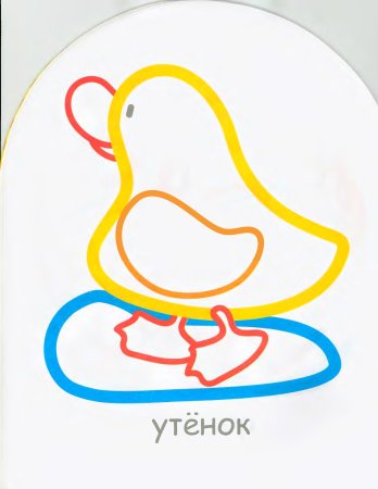 Раскраски с цветным контуром фрукты