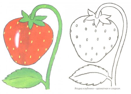 Клубника раскраска для малышей
