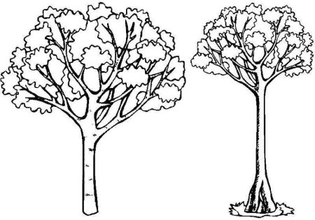 Дерево раскраска для детей