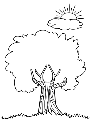 Дерево раскраска