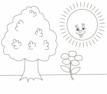Раскраски на тему деревья